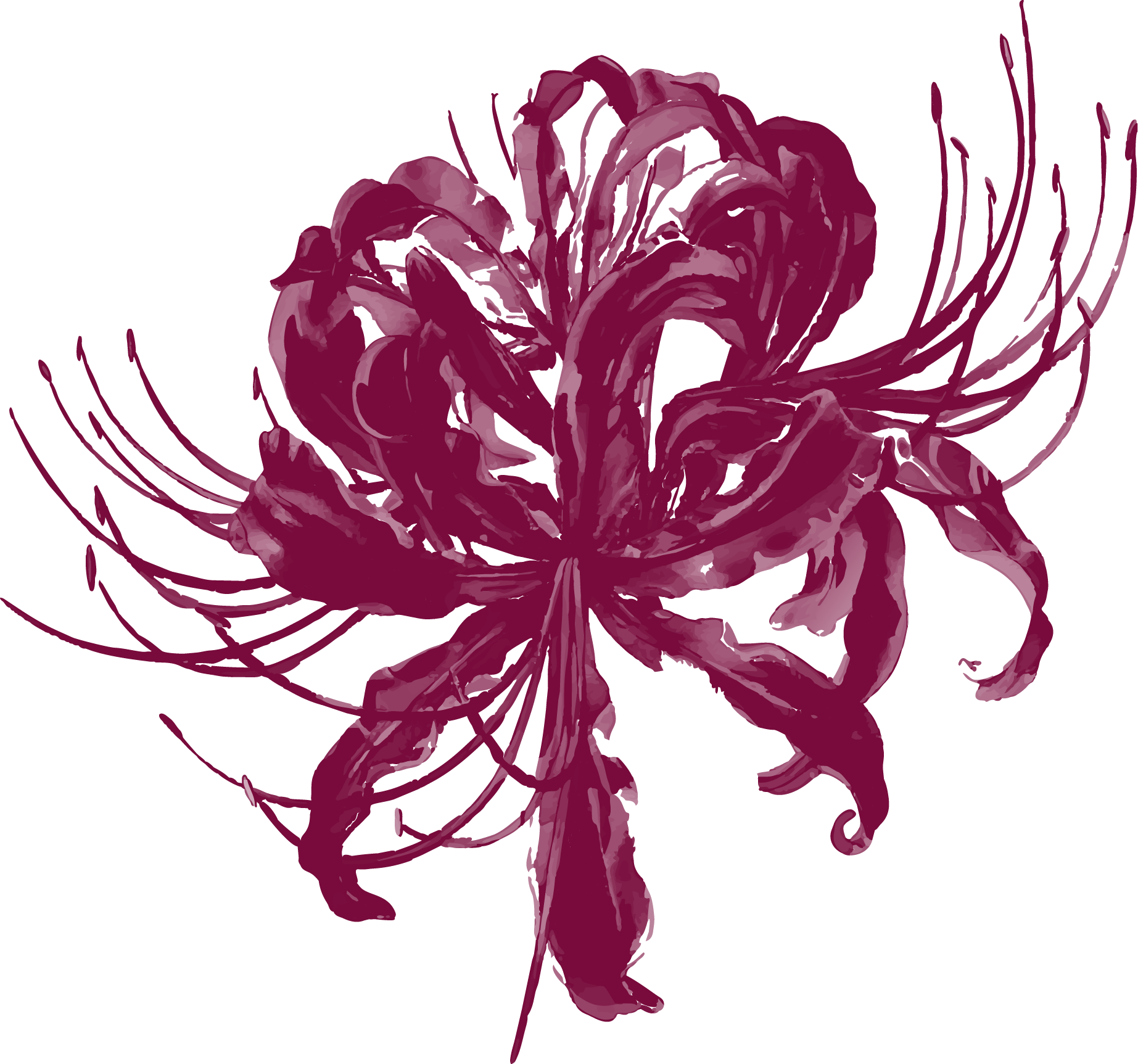Illustration décorative