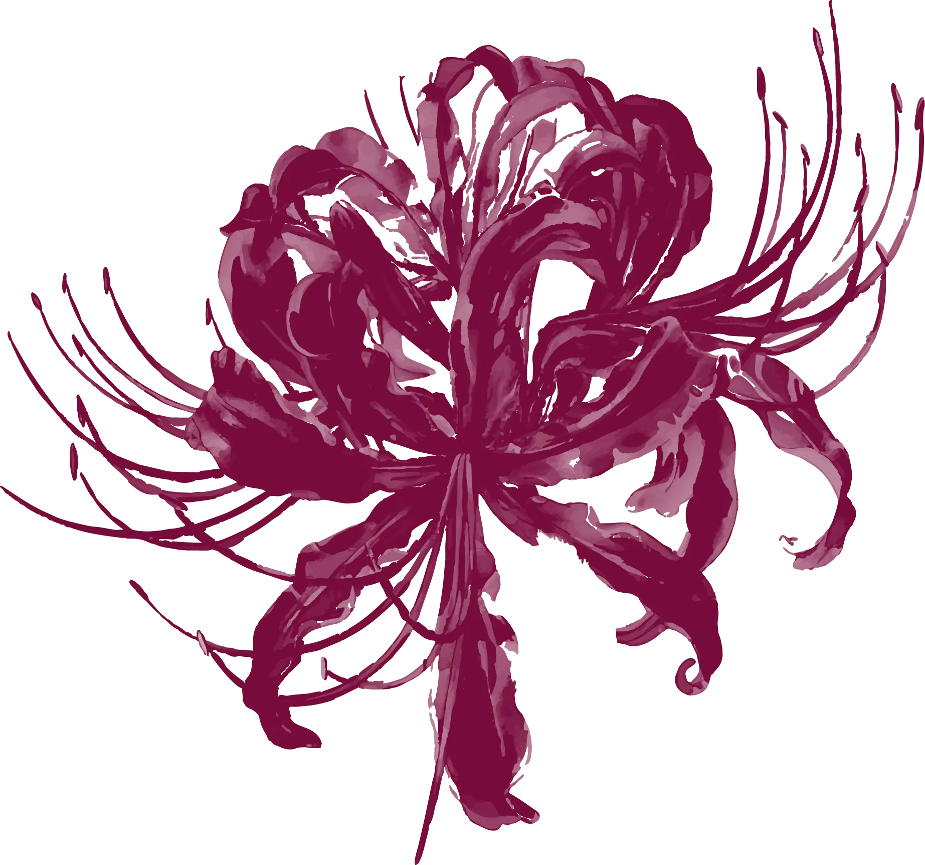 Illustration décorative